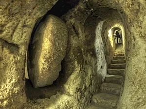 Immerse yourself in the culture