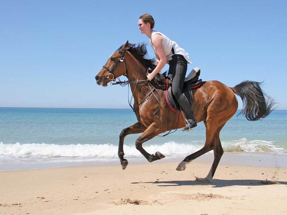 Horseback Riding On the Beach of Antalya